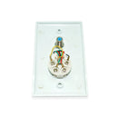 Cable and Tel Jack Single Wall plate