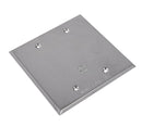2 Gang Square Cover Plate (008636)