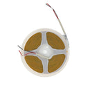 LED COB Strip Light 5M/Roll : KSTP