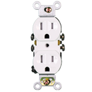 Duplex Receptacle 15 Amp TR : SWD45176