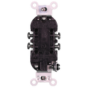 Duplex Receptacle 15 Amp TR : SWD45176